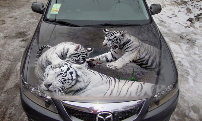 Оклеивание капота винилом Оклеивание капота винилом