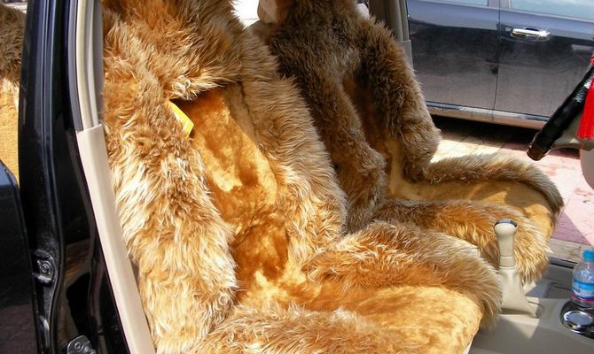 На фото - чехол из искусственного меха