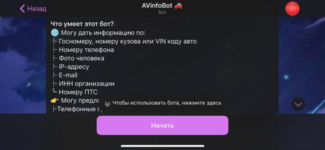 Чат-бот AVinfo в Телеграм AVinfo в Телеграм