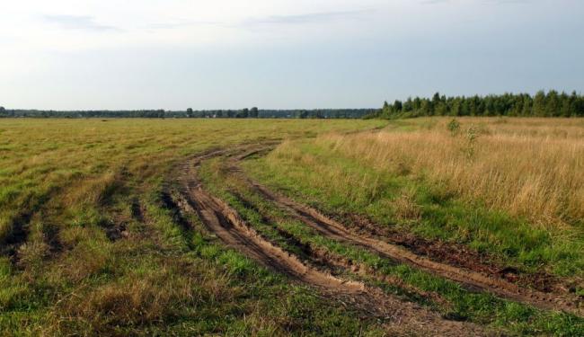 Дорога в летнее время Колея летом