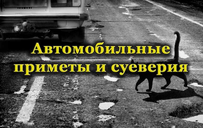 Черная кошка перебегает дорогу перед автомобилем Черная кошка на дороге