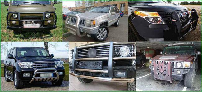 Что такое кенгурятник Что такое кенгурятник