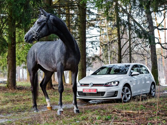 Одна лошадиная сила Одна лошадиная сила