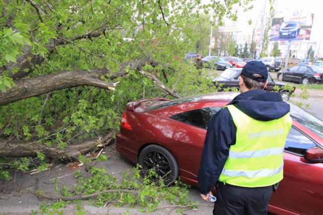 Осмотр места происшествия сотрудником ГИБДД Осмотр места происшествия сотрудником ГИБДД