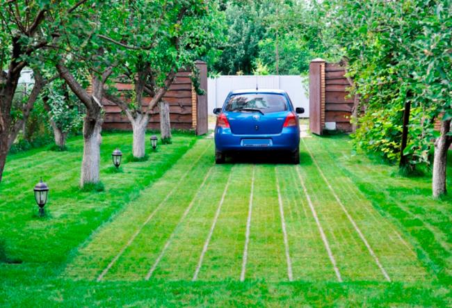 Выбор сорта травы для парковочного места Преимущества и недостатки материалов