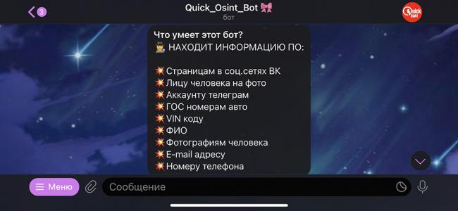 Чат-бот Quick OSINT в Телеграм Quick OSINT в Телеграм