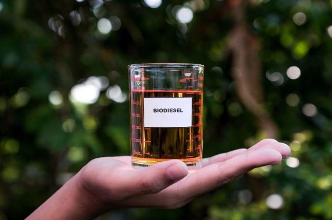 Биодизельное топливо домашнего приготовления Стаканчик с биодизелем