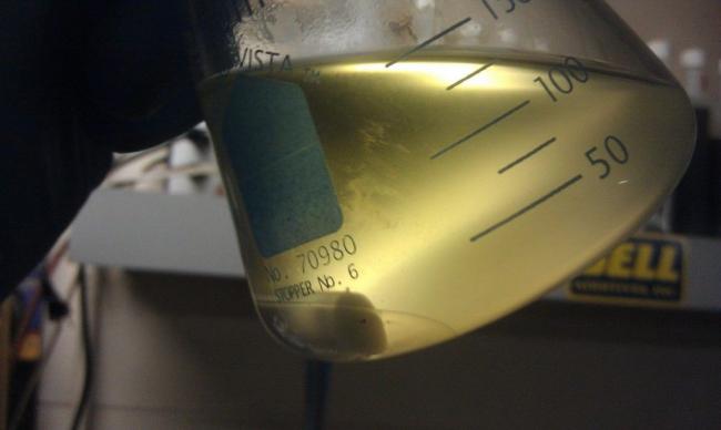 Дизельное топливо в колбе Дизельное топливо