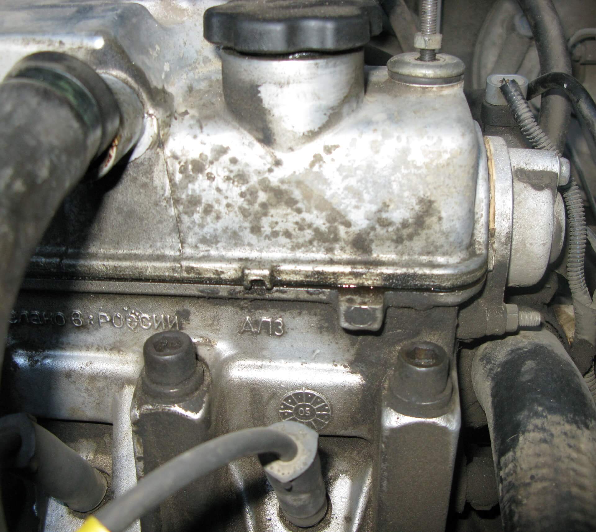 pahnet maslom sv salone