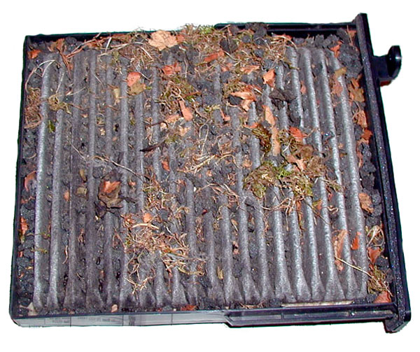 zachem nushen salonnyi filtr