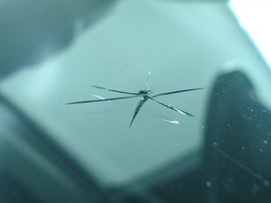 Skol-na-lobovom-stekle